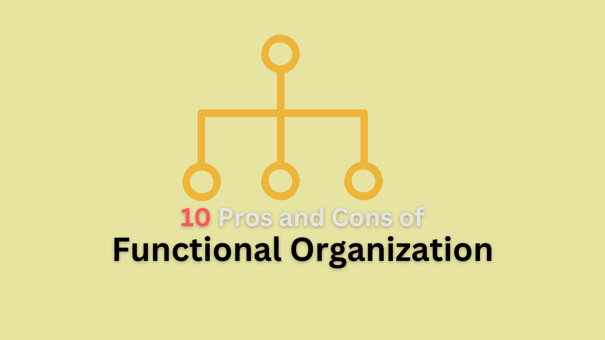 pros and cons of functional organization