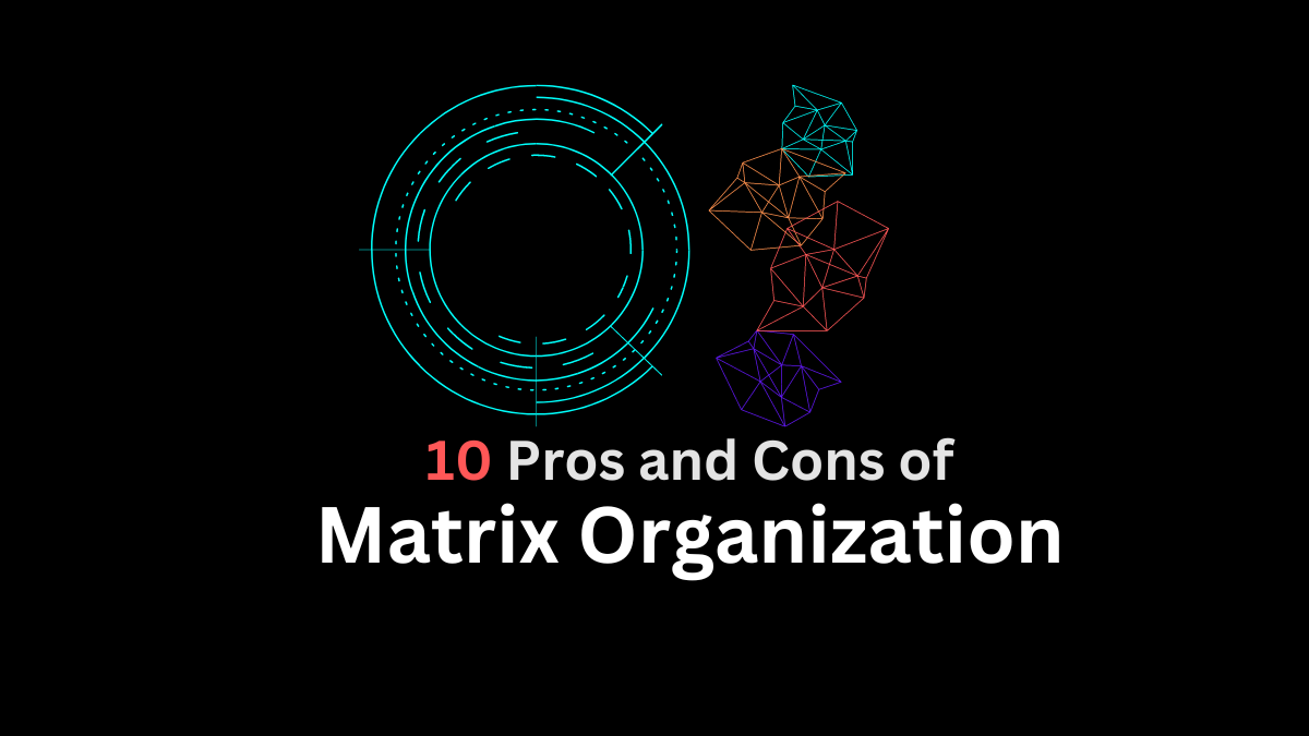 pros and cons of matrix organization